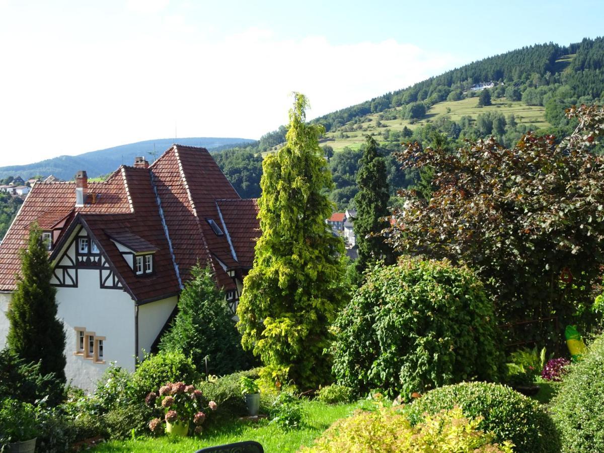 Panorama Rauenstein