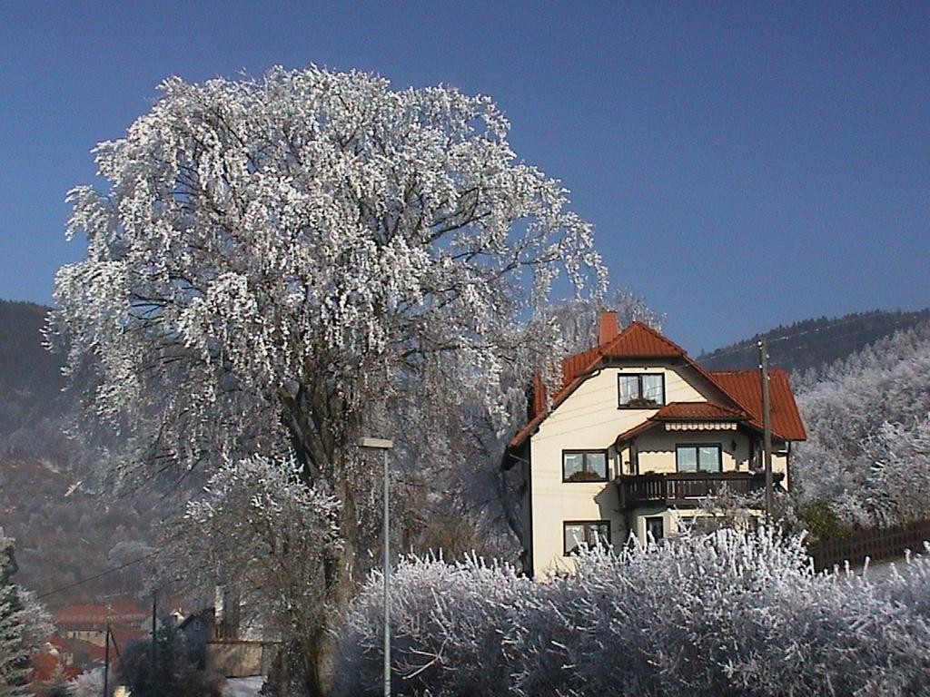 Apartment Panorama Rauenstein