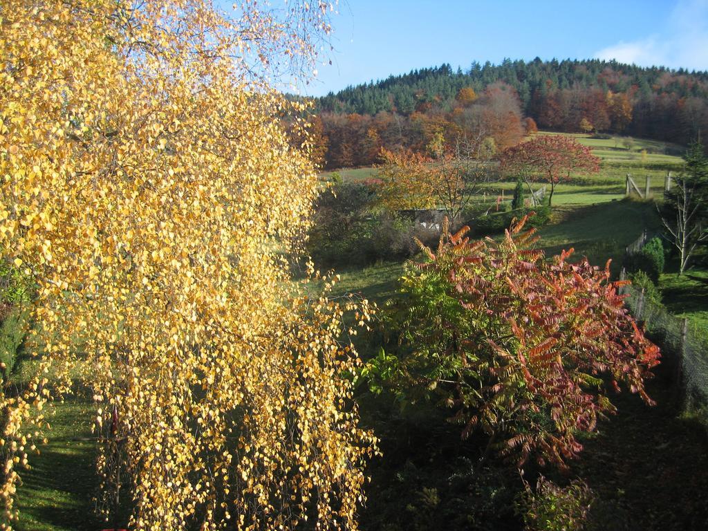 Panorama Rauenstein