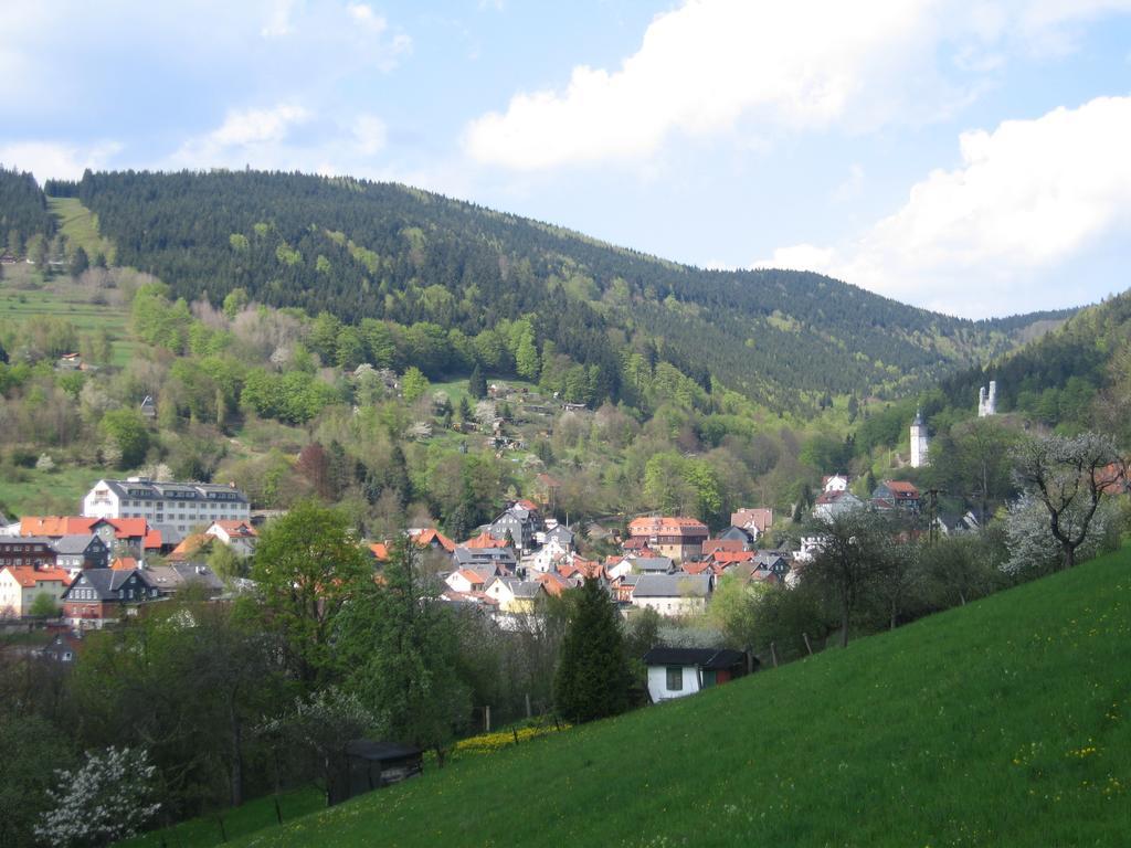 Apartment Panorama Rauenstein (Sonneberg)