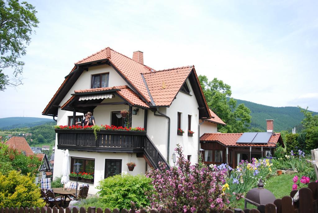 Apartment Panorama Rauenstein